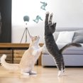 thumbnail image 4 of Piezas Juguetes de hierba gatera Gato de interior Diseño de forma lindo interactivo Juguete divertido Suministros para gatitos MFZFUKR BST3001888-5, 4 of 6