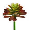 thumbnail image 1 of Vickerman FH180301 20 in. Red &amp; Green Succulent Stem, 1 of 3