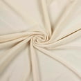 thumbnail image 7 of BalsaCircle 5x10 feet Beige 4-Way Stretch Spandex Divider Backdrop Curtain Home Decorations, 7 of 7