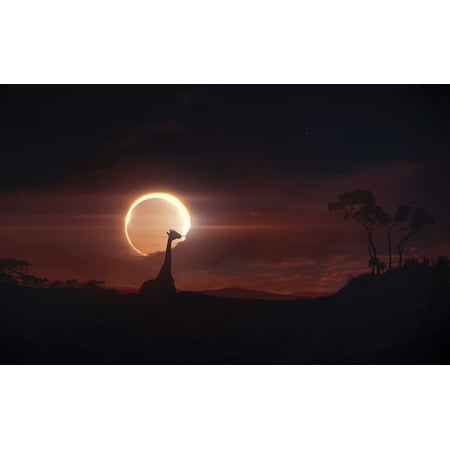 Solar eclipse over Africa Stretched Canvas - Tobias RoetschStocktrek Images (36 x