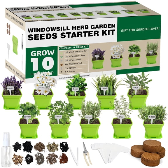 10 Herb Seeds Garden Starter Grow Kit with Green Pots, Markers, Nutritional Soil, Watering, Herb Clipper, Complete Indoor Potted Plant Growing Set for Kitchen DIY