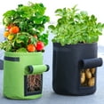thumbnail image 3 of Oyajia Plant Grow Bags 7 Gallon Grow Bags + 10 Gallons Black Mixed Color Multi Size Fabric Pots with Handle and Roll-up Window, 3 of 11