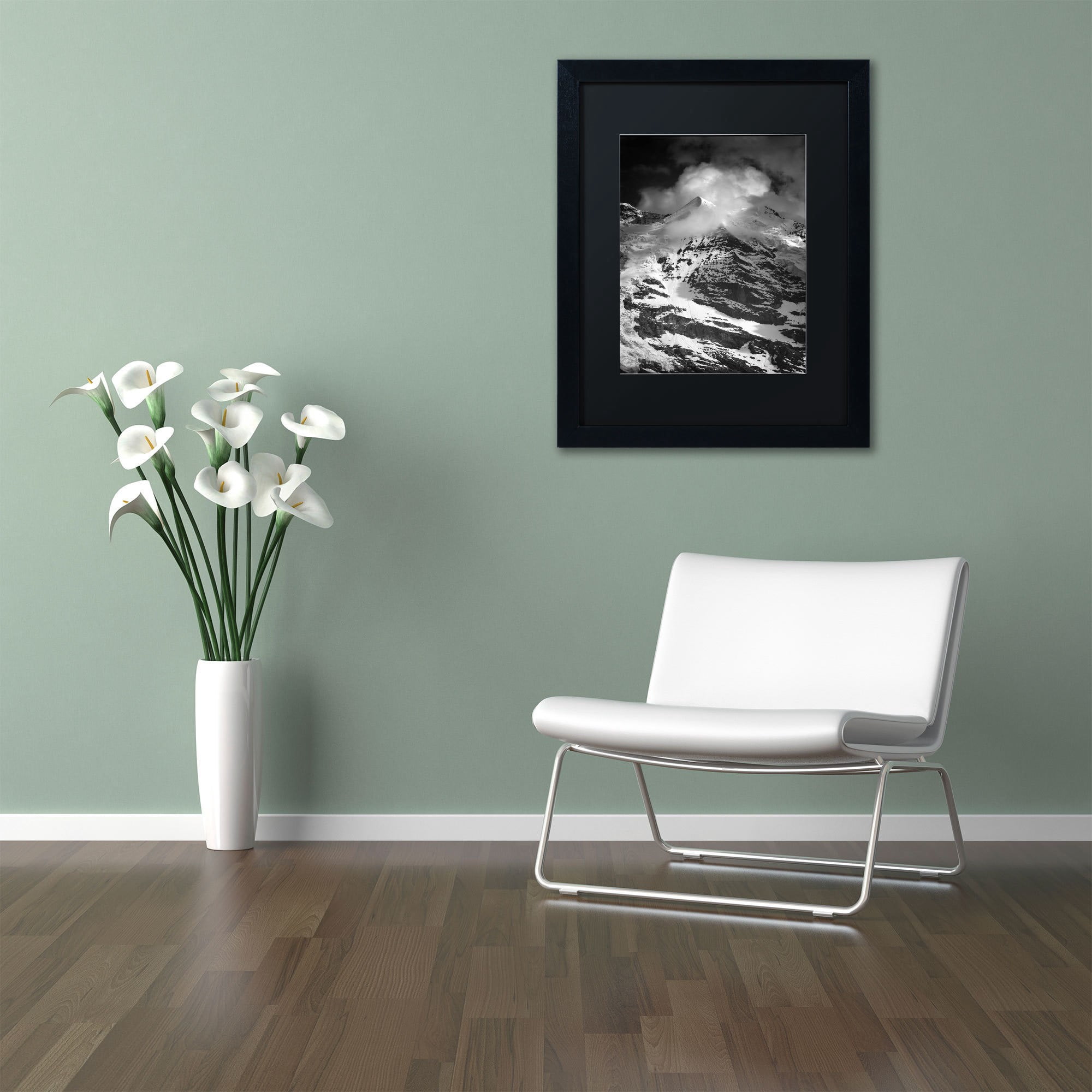 Trademark Fine Art "Carry Me Away" Canvas Art by Philippe Sainte-Laudy, Black Matte, Black Frame