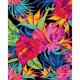 thumbnail image 2 of Cuadros Decorativos Flores hojas pintura al óleo por números Kit DIY dibujo sin marco imagen para adultos Ndcxsfigh Nuevos Originales, 2 of 8