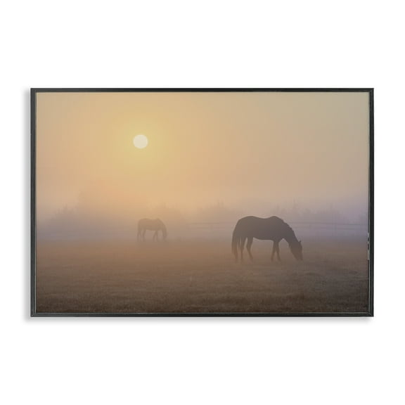 Stupell Industries Misty Sunlit Horses Landscape & Nature Photography Black Framed Art Print Wall Art, 18 x 12