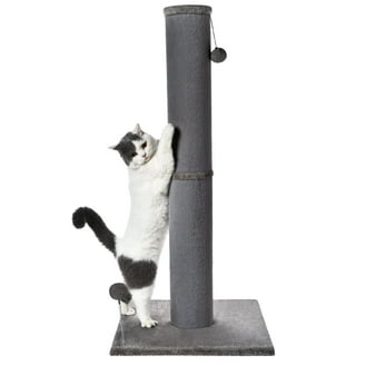 auto matic cat litter box els pet Orbitie Automatic Self-Cleaning Cat Litter Box, Gray
