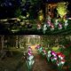 thumbnail image 4 of Luz solar de jardín Flor Luces solares al aire libre, 4 of 5