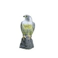 thumbnail image 2 of Fortune Simulation Eagle Hunting Bait Repellent Pest Imitation Owl Decoy Statue, 2 of 9