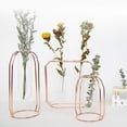 thumbnail image 2 of Glass Vases with Metal Frame Modern Rose Gold Frame Cylinder Clear Vase Planter Terrariums Flower Holder Decorations, 2 of 7