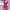 Hot Pink, variant on RYDCOT Womens One Piece Swimsuit Tummy Control Drawstring Bathing Suit Solid Color Full Coverage Swimwear with Adjustable Straps Beach Outfits