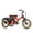 Red, variant on Addmotor Fat Tire Unisex Adults Electric Tricycle, White, 20''