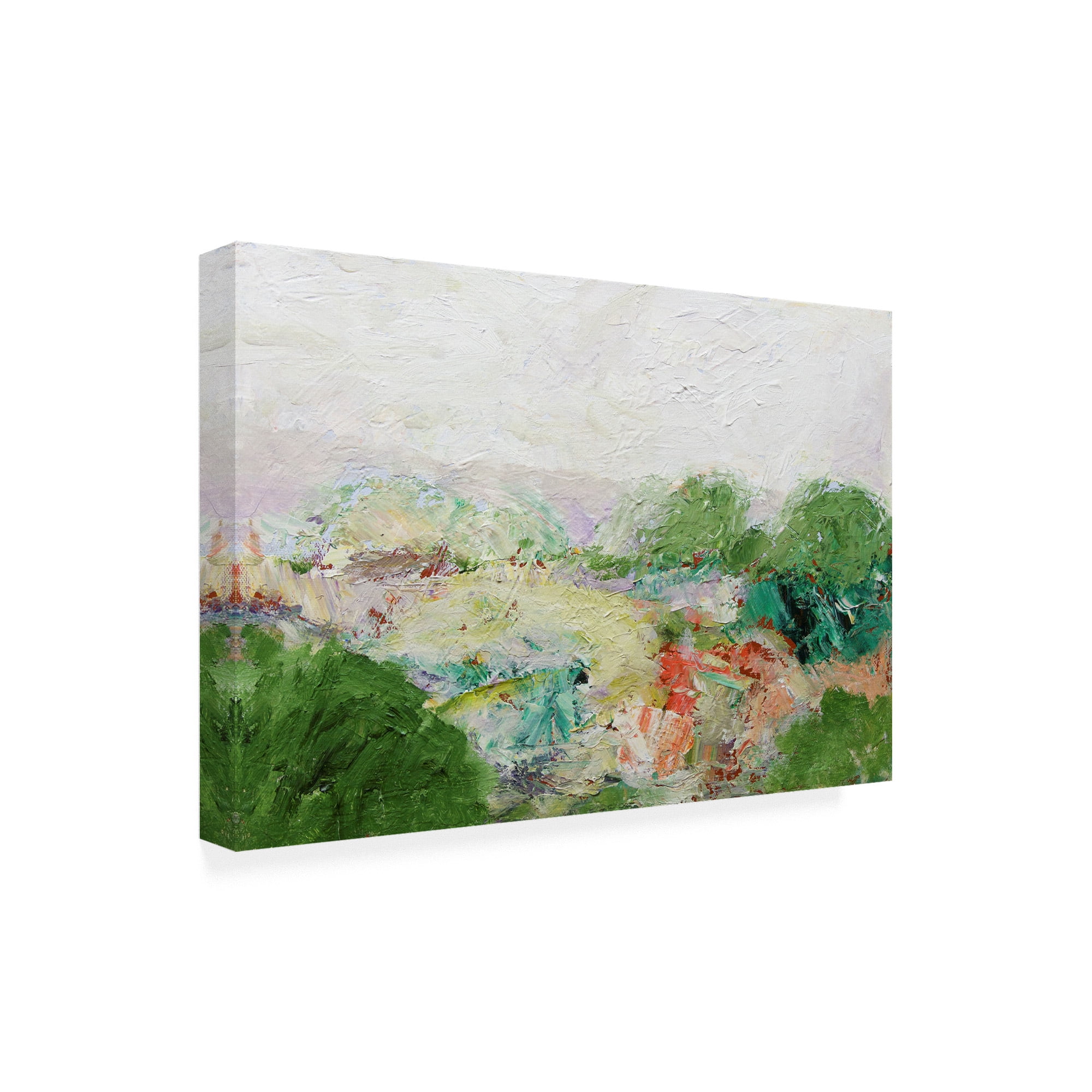 Trademark Fine Art Landscape Canvas Art ' Blackstone ' by Allan Friedlander