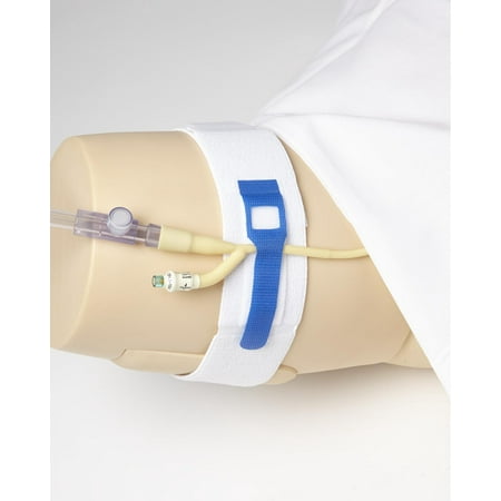 catheter