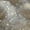 Brown, variant on Chantille ACN518 Brown 10 x 14 Rug