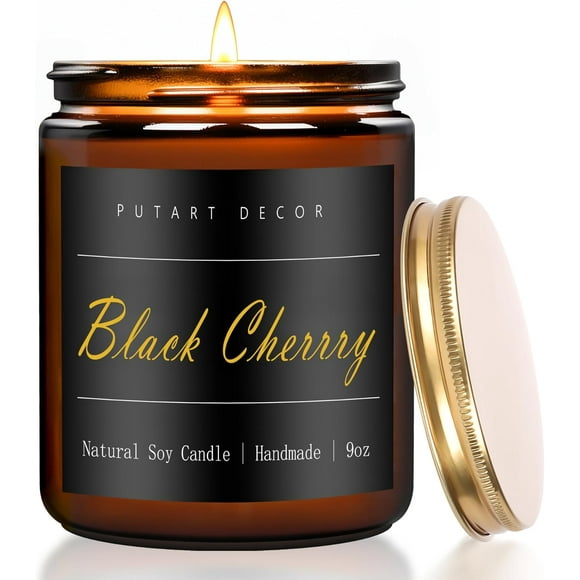 shiyou-Black Cherrry Scented Candle for Home, Natural Soy Wax Aromatherapy Non Toxic Candle Gifts for Women & Men, Handmade Highly Scented & Long Lasting Jar Candle for Stress Relief (9oz)