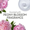 thumbnail image 6 of Olay Moisture Ribbons Plus Shea + Peony Blossom Body Wash, 18 fl oz, 6 of 7