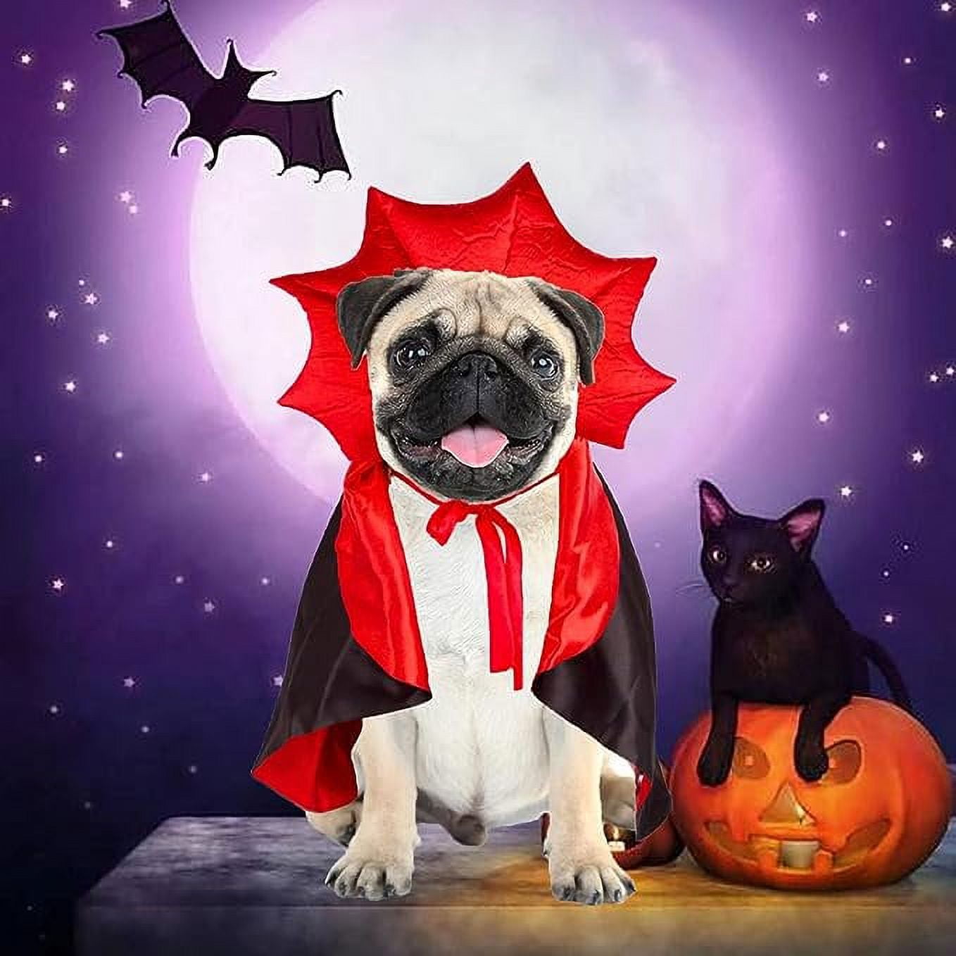 Dog cape costume best sale