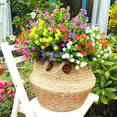 thumbnail image 5 of Paquete De Plantas Artificiales P/decoración De Boda, 9 Pzas, 5 of 5