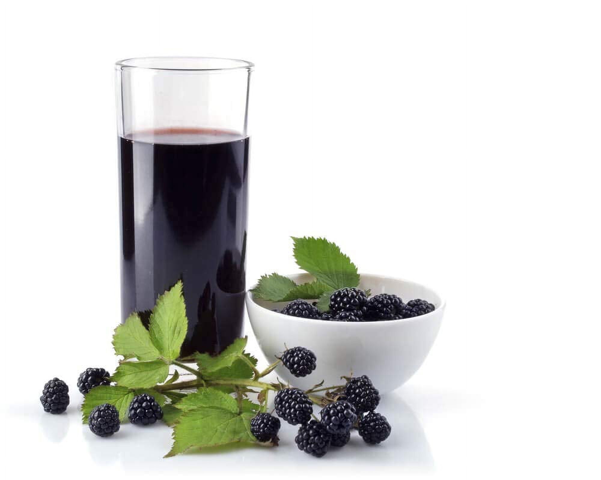 Blackberry Juice Net 33.8 fl.oz (1 Ltr.) - 4 Glass Bottles - High in Antioxidants