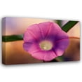 thumbnail image 1 of Bob Stefko 40x27 Gallery Wrapped Canvas Wall Art Titled - Morning Glory I, 1 of 4