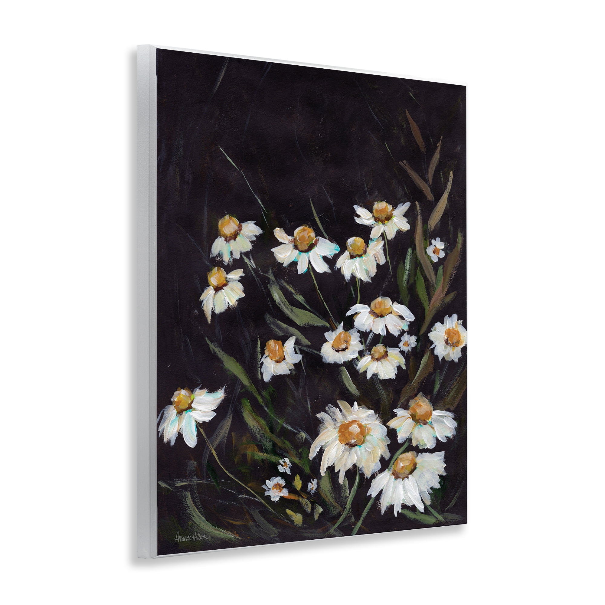 Stupell Industries Daisies on Black Botanical & Floral Painting Unframed Art Print Wall Art, 11 x 14