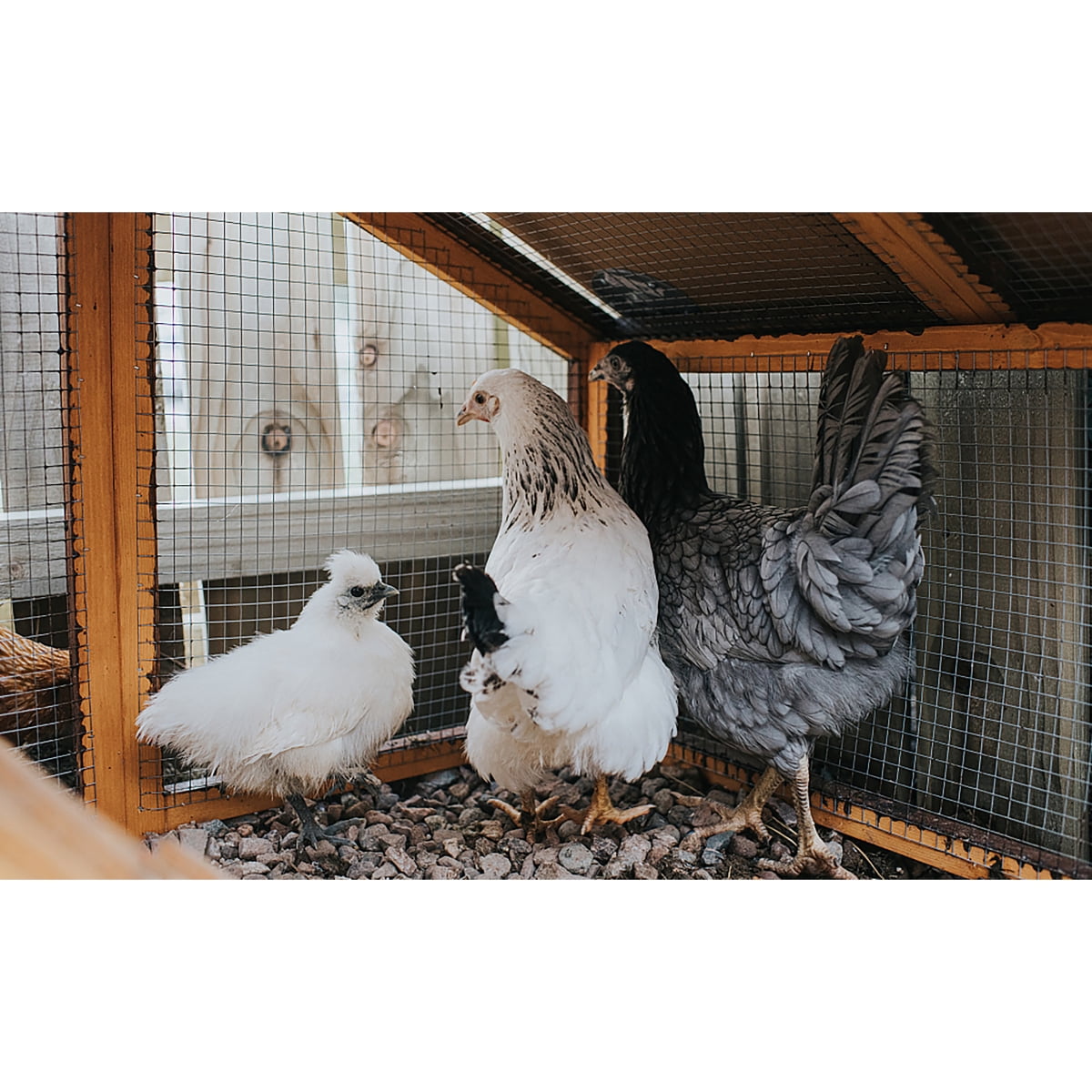Wire Mesh Fence Roll 60in x 50ft 1 2 x 1 2 19GA Galvanized Steel Vinyl Coated Hardware Cloth Poultry Netting for Garden Yard Plants Animals Protection Farm Fencing Silver