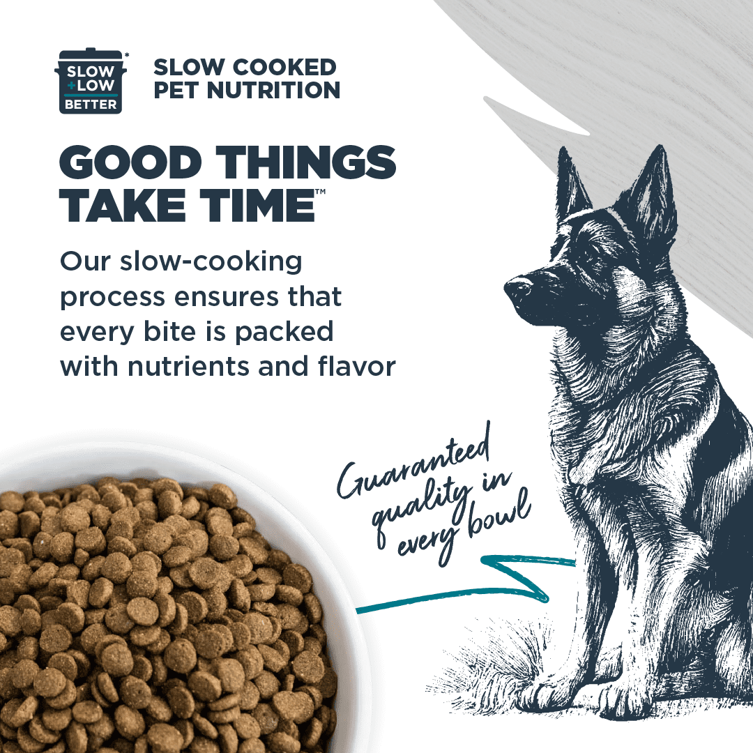 Blackwood Dry Dog Food Chicken Meal & Brown Rice with Ancient Grains 10 lb.