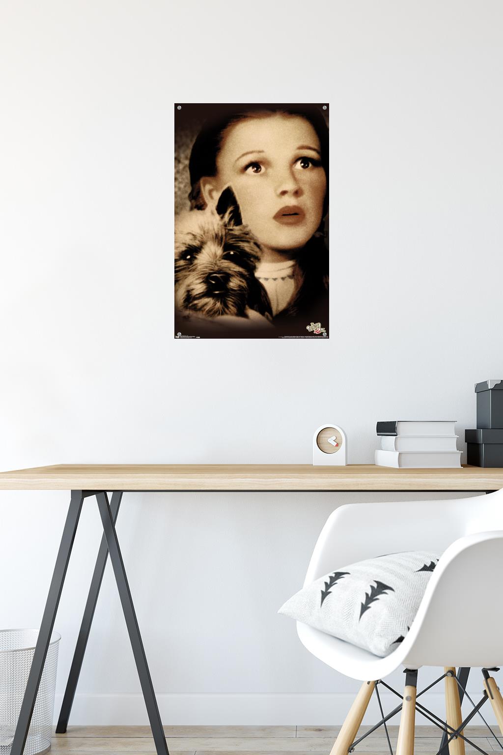 The Wizard Of Oz - Duo Wall Poster with Push Pins, 14.725" x 22.375"