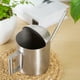 thumbnail image 3 of Regadera de 300 ml Herramienta de jardinería de riego pequeña Regadera de boca larga de material acero inoxidable para macetas suculentas, jardinería, plantas, 3 of 9