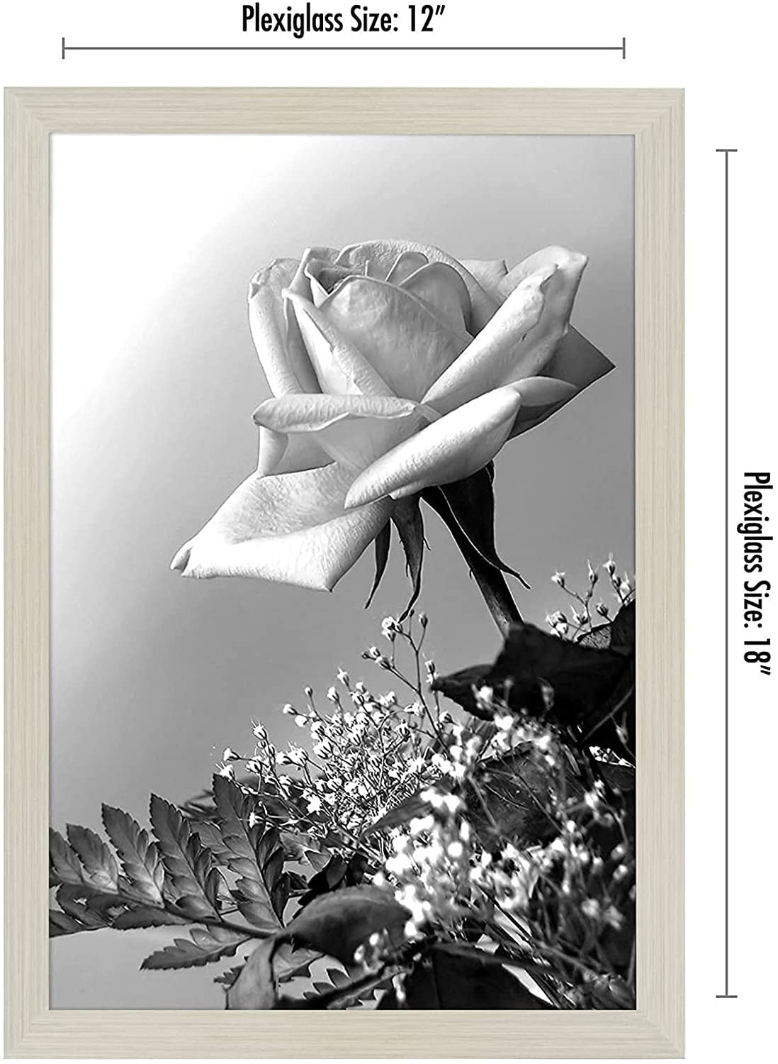 Americanflat Framed Black Rose Illustrations Prints White Finish Gallery Wall Kit with Mat - 16x20 Inch Set of 3 Framed Pictures Wall Art For Home Off Set of 5 - Classic Gallery Picture Frame with Mat | Galleria