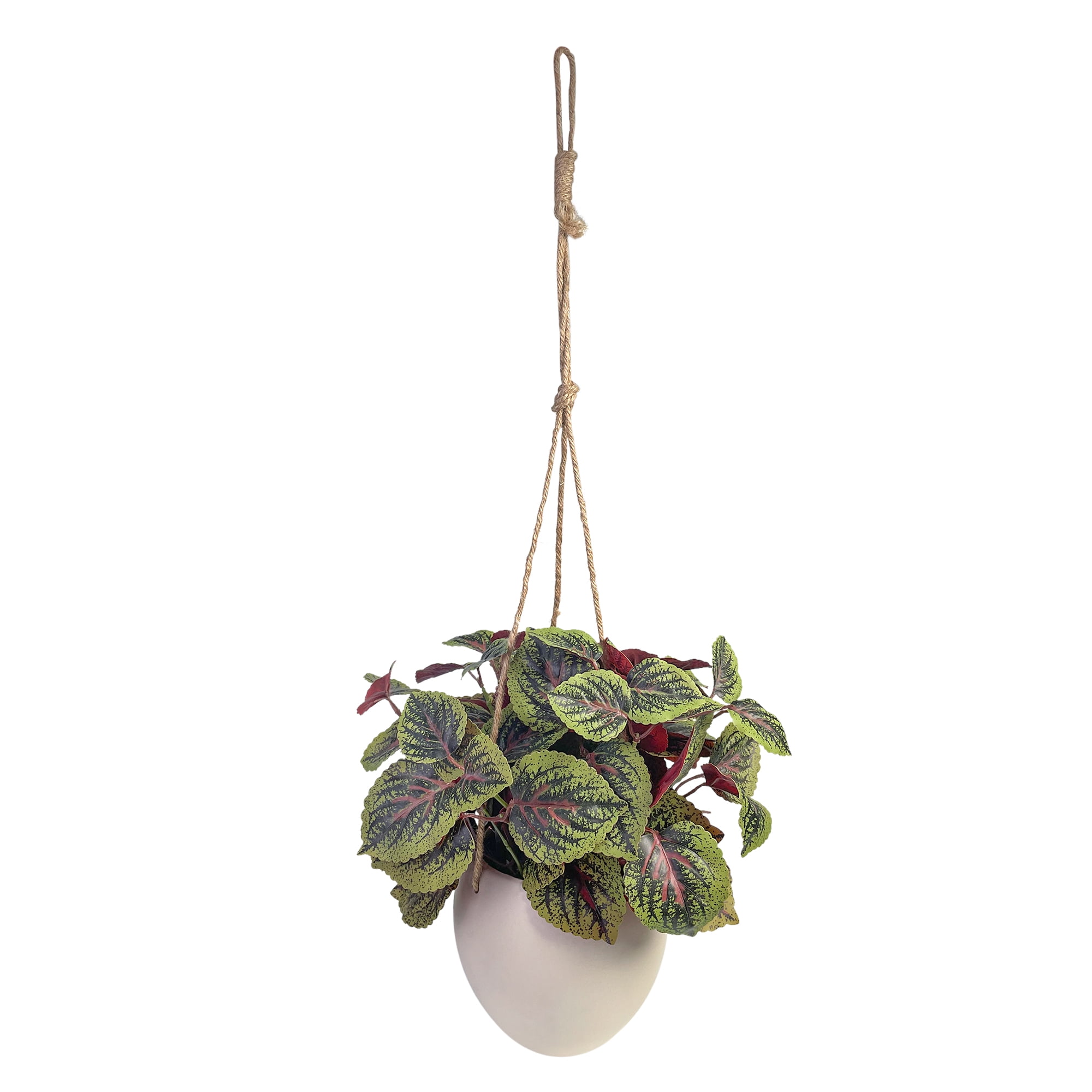 Artificial Plant Hanging Green Silk Fake Plant in Ceramics Pot