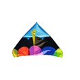 Giant Delta Apollo Kite Delta Shape Premium Large 6ft Wide Kite (10