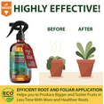 thumbnail image 2 of ⭐ GARDENERA Professional Organic Liquid Kelp Spray for DRACAENA Plants - 8 oz - Ready-To-Use Fully Organic Seaweed & Kelp Fertilizer Mist, 2 of 7