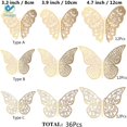 thumbnail image 3 of Deago 3D Hollow Butterfly Wall Decals, Set of 36, 3 of 7