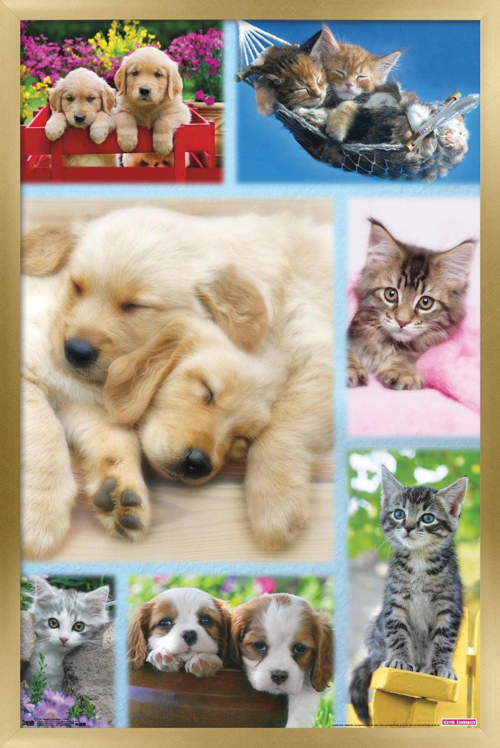 Keith Kimberlin - Puppies and Kittens Collage Wall Poster