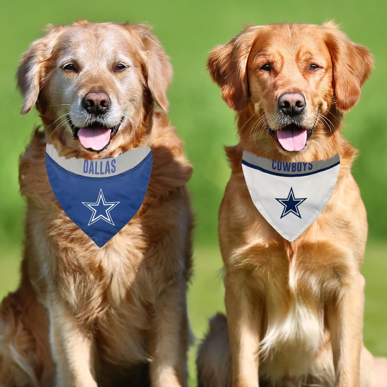 Pets First #1 NFL Party Bandana, Reflective Dog Bandana & Cat Bandana