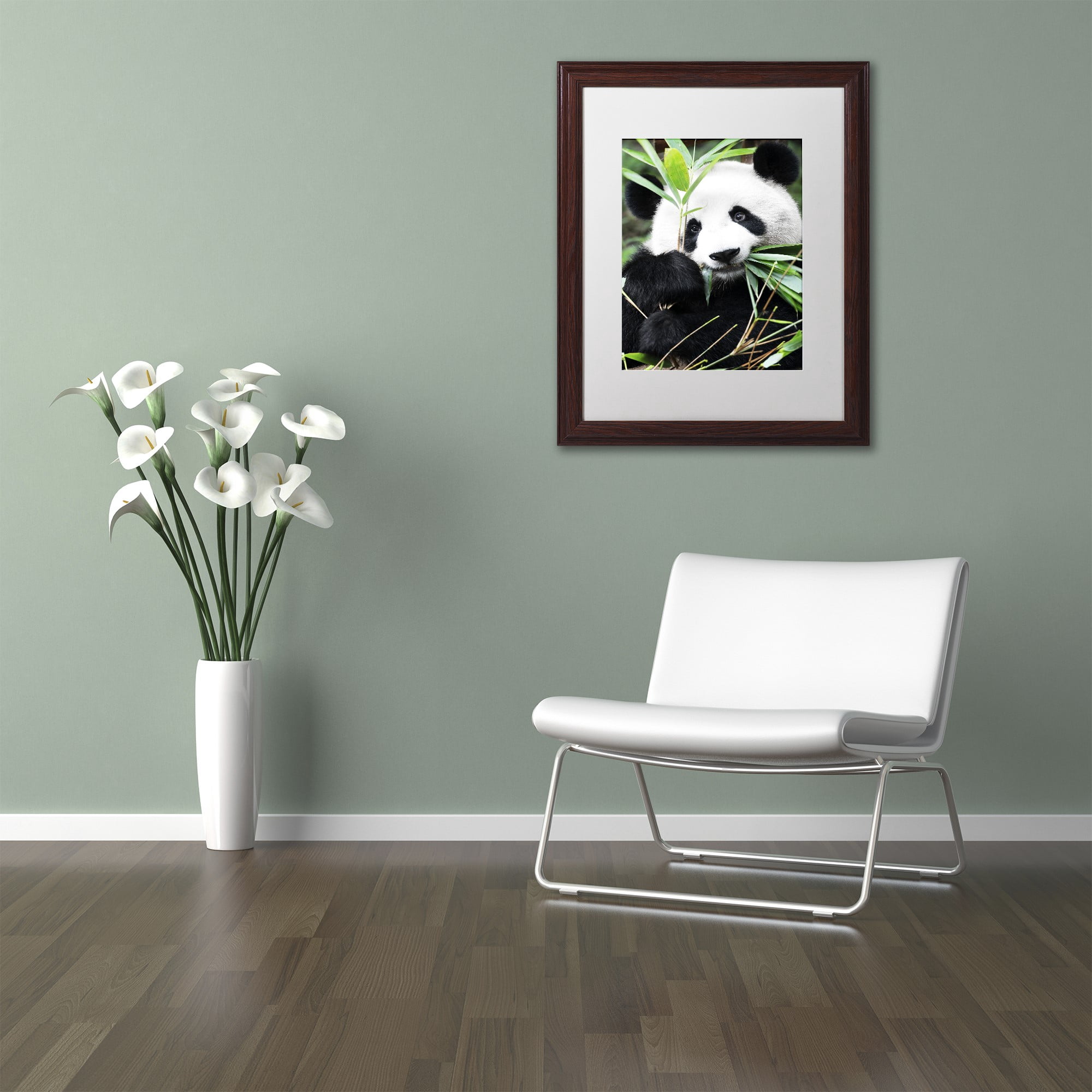 Trademark Fine Art "Giant Panda I" Canvas Art by Philippe Hugonnard, White Matte, Wood Frame