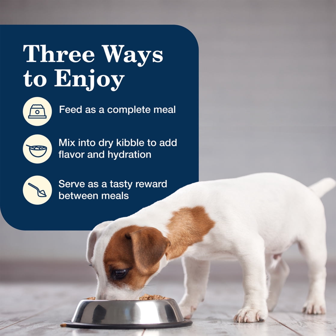 Blue Buffalo Homestyle Recipe Chicken Pate Wet Dog Food for Puppies, Whole Grain, 12.5 oz. Can