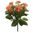 thumbnail image 1 of Pemberly Row 17.25" Contemporary Fabric Artificial Kalanchoe Bush in Orange, 1 of 5