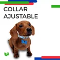 thumbnail image 5 of Collar Para Perros Y Gatos Mascotas Ajustable Con Cascabel Color Azul claro Huellas Tamaño del collar Unitalla, 5 of 5