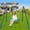 Blue, variant on Leumius Toddler Swing Sets for Backyard, Comfy Baby Swing Outdoor Indoor, Kids Swing with Metal Stand, Green