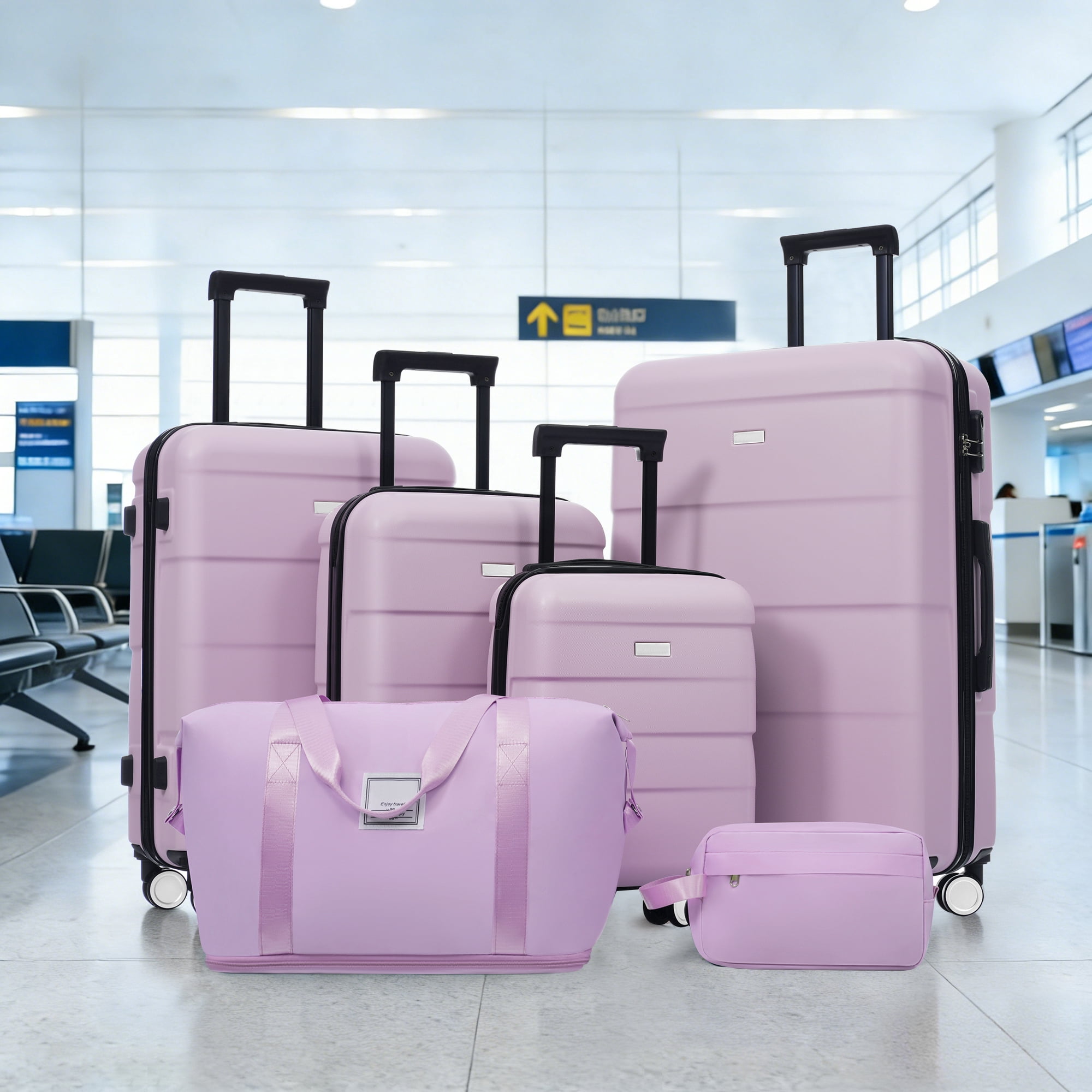 Euroco 6 Piece Luggage Sets, ABS Hardshell Suitcase Set with Password Lock,Spinner Wheels and 2 Bags,Durable Lightweight Carry on Suitcase with Handle for Travel,Pink Purple(16"/20"/24"/28")