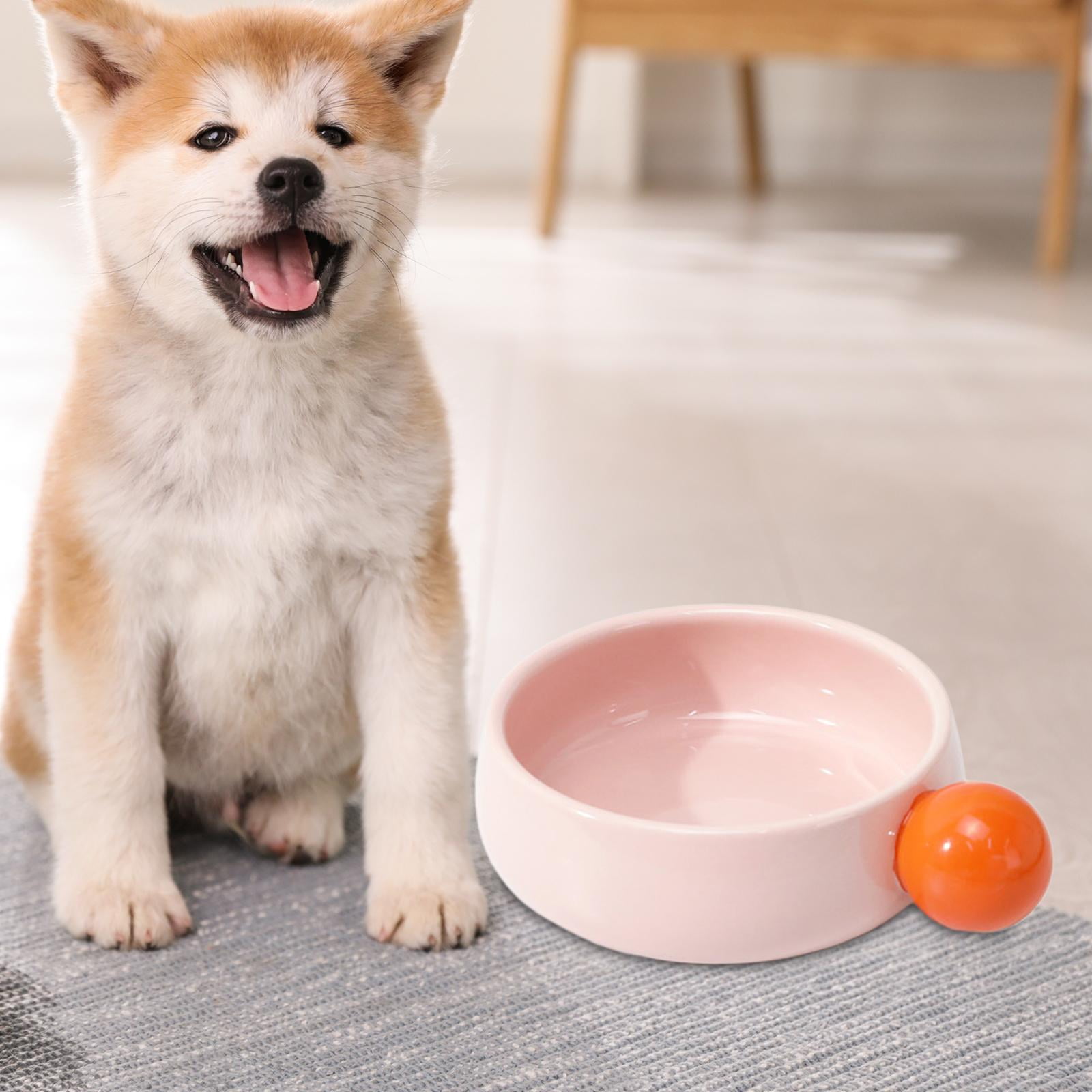 Gazechimp Cat Bowl Portable Wide Cat Dish for Pet Supplies Small Animals Pets Supplies Pink
