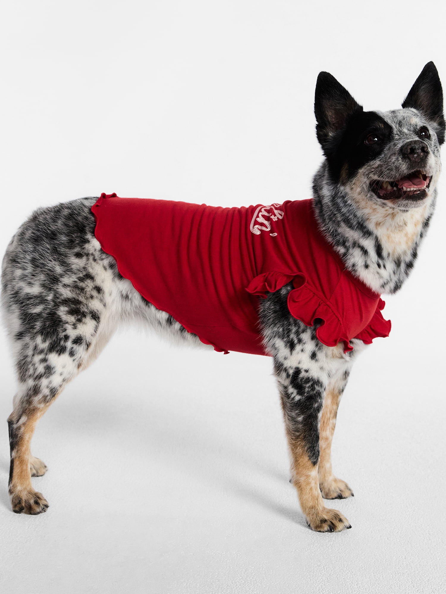 Kacey Lee Darlin' Ruffled Edge Pet Tee Shirt for Cats and Dogs, Red, Large