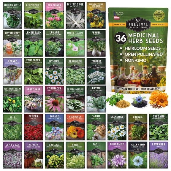 36 Pack Ultimate Medicinal Herb Seed Collection - Full Sun Perennials & More