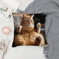 thumbnail image 3 of Cat Pattern Decorative Pillow Cover 18x18 Inch, Soft Square Throw Pillow Case with Hidden Zipper for Couch, Sofa, Bed, Home Decor (1 Piece), 3 of 5