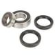 thumbnail image 2 of Kit de Sello de Aceite del Eje Trasero ANGGREK 1011291 Durable, 2 of 7