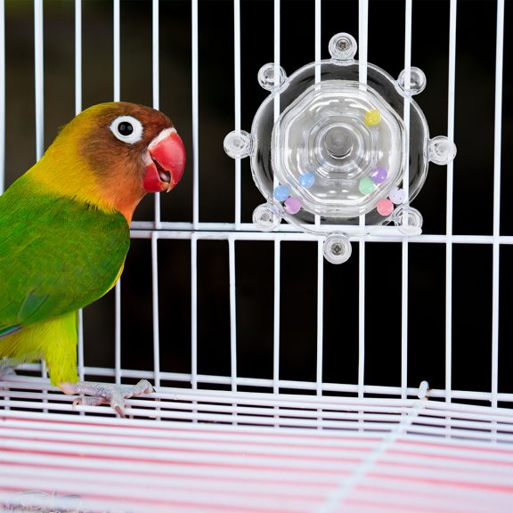 ETEREAUTY Durable Transparent Cage Bird Wheel for Parrot Chewing and Playing Fun