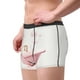 thumbnail image 2 of Fotbe Cute Bathtub Calzoncillos Tipo Boxer con Bolsa de Soporte Total para Hombre, X-Temp Fresco, Transpirable y de Secado Rápido-Medium, 2 of 5