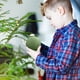 thumbnail image 4 of Clear Hollow DIY Christmas Ornament Ball for Holiday Party and Home Decoration, 4 of 6